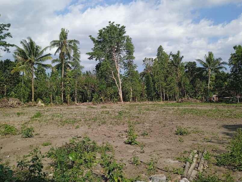 dijual tanah kadisono margorejo