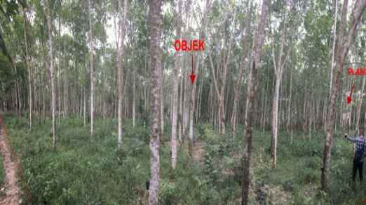 dijual tanah kebun karet seluas 10 660 m2 banyuasin