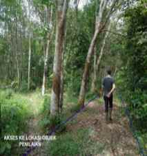 dijual tanah kebun karet seluas 10 660 m2 banyuasin