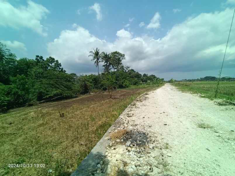 dijual tanah kedungu tabanan bali