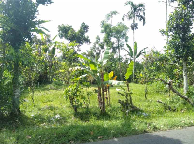 dijual tanah kintamani bangli bali