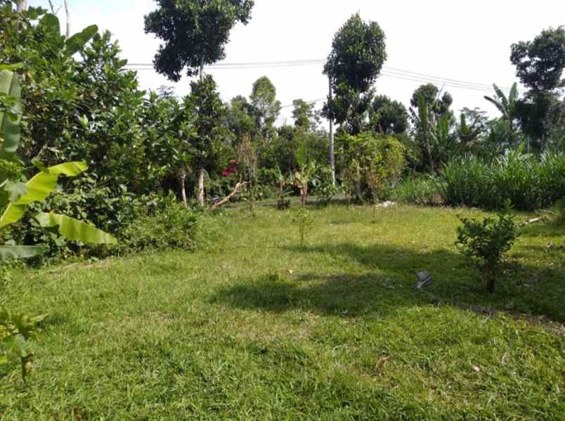 dijual tanah kintamani bangli bali