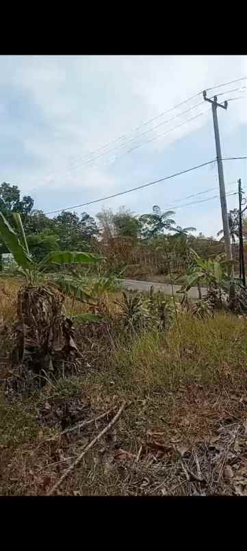 dijual tanah kp andir majasari