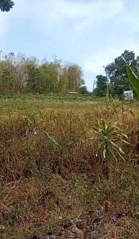 dijual tanah kp andir majasari