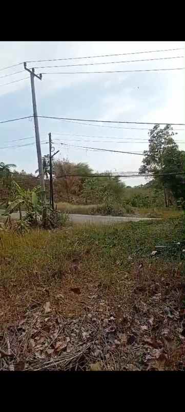 dijual tanah kp andir majasari