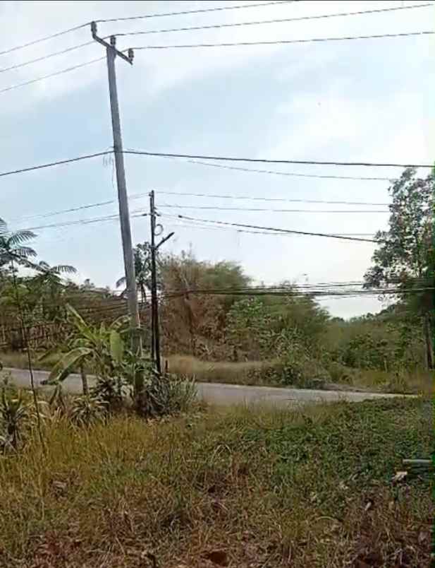 dijual tanah kp andir majasari