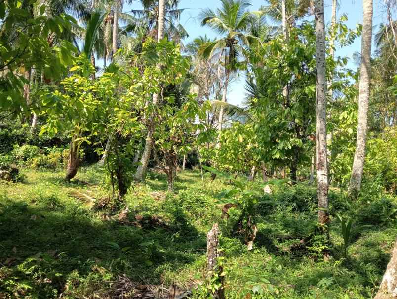 dijual tanah lalanglinggah selemadeg