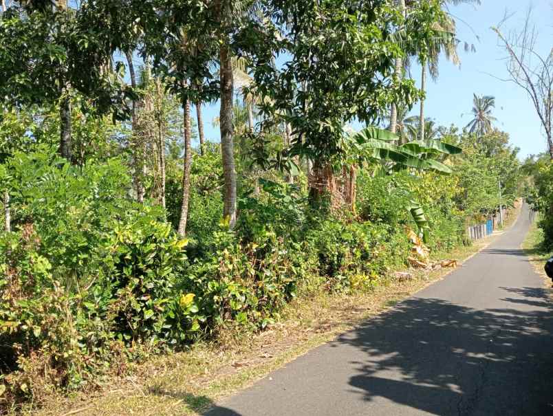 dijual tanah lalanglinggah selemadeg