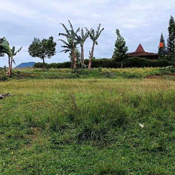 dijual tanah lembah kuta puncak bogor