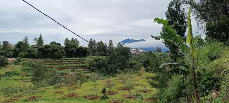 dijual tanah lembah kuta puncak bogor