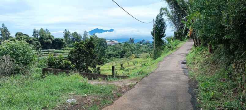 dijual tanah lembah kuta puncak bogor