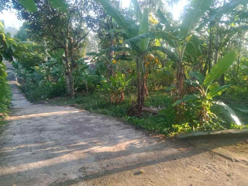 dijual tanah linggasana linggarjati