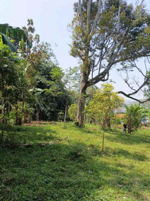 dijual tanah luas di pakuhaji bandung barat