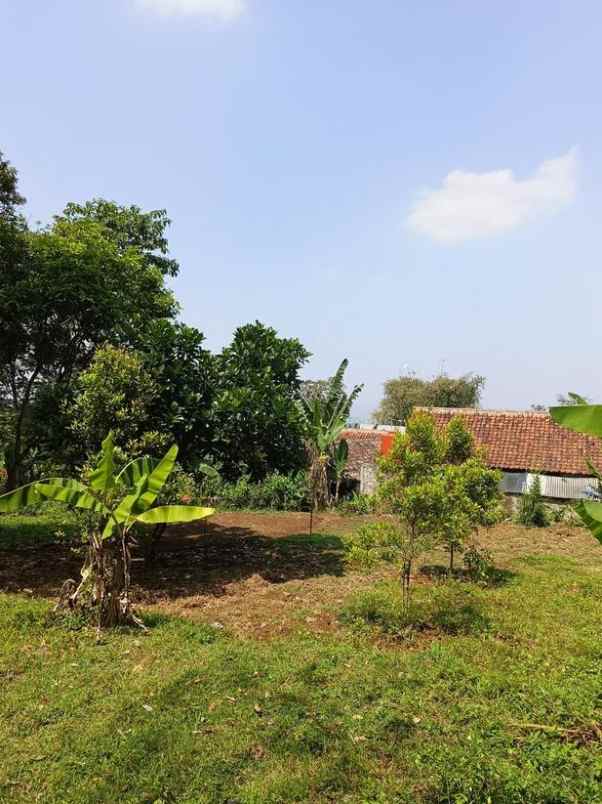 dijual tanah luas di pakuhaji bandung barat