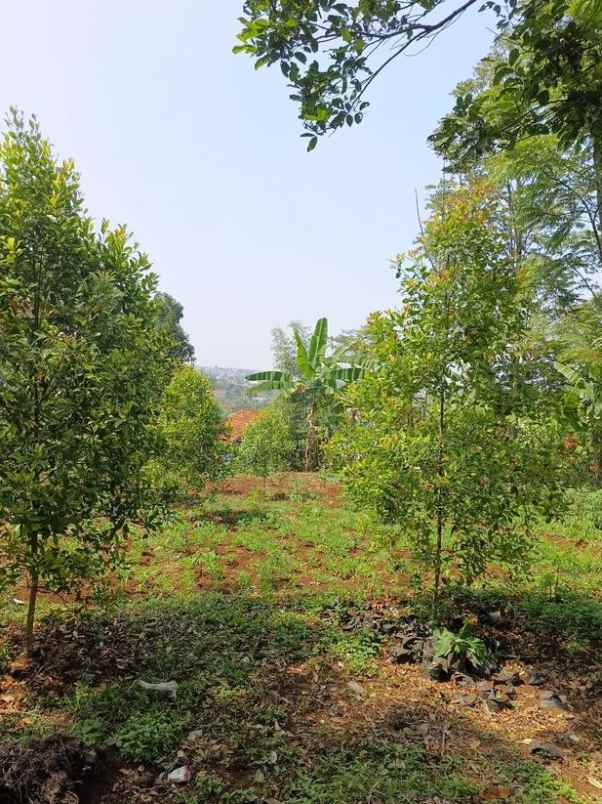 dijual tanah luas di pakuhaji bandung barat