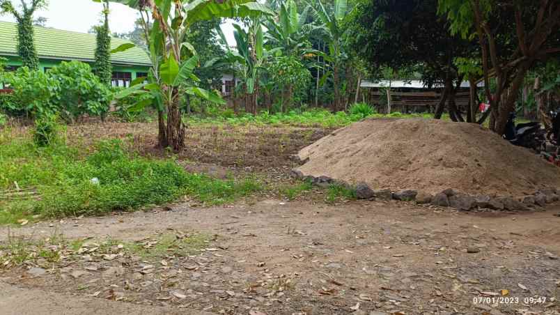 dijual tanah negeri katon pesawaran