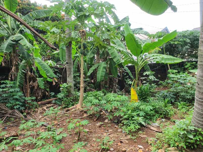 dijual tanah pancoran mas kota depok