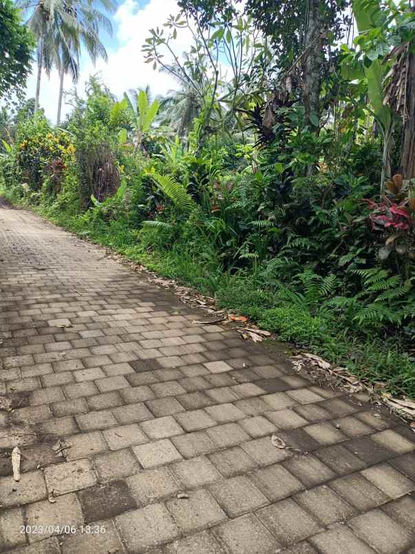 dijual tanah payangan gianyar bali