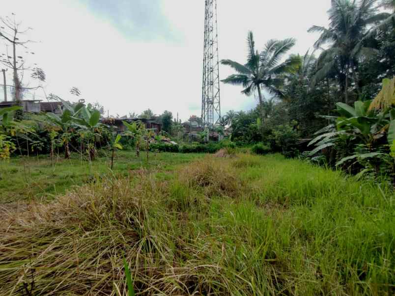 dijual tanah pejeng kaja