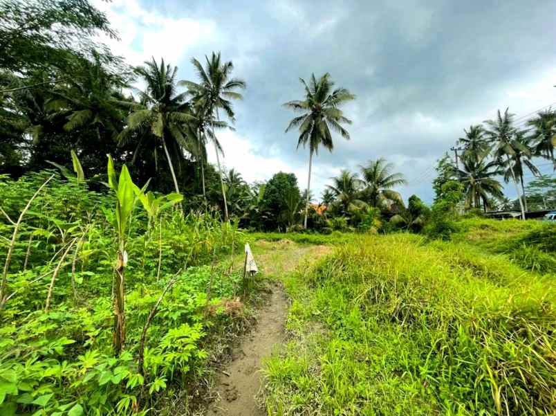 dijual tanah pejeng kaja