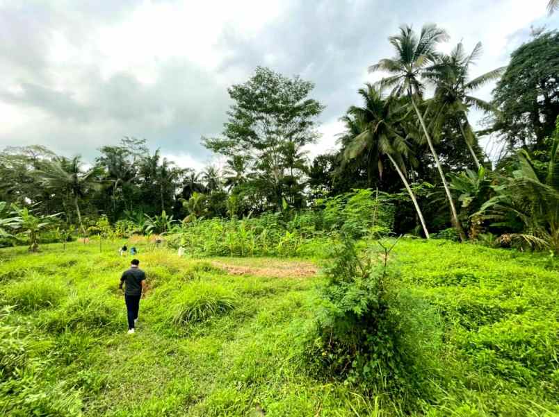 dijual tanah pejeng kaja