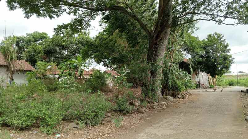 dijual tanah pekarangan taskombang manisrenggo