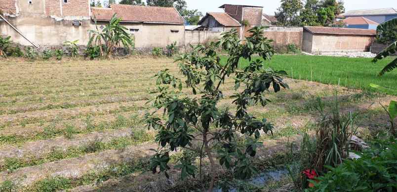 dijual tanah permata hijau