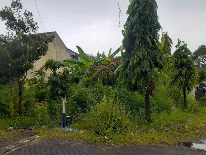 dijual tanah perum kahuripan nirwana sidoarjo