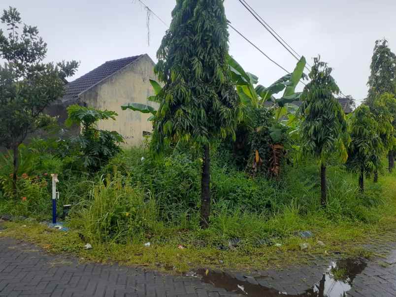 dijual tanah perum kahuripan nirwana sidoarjo