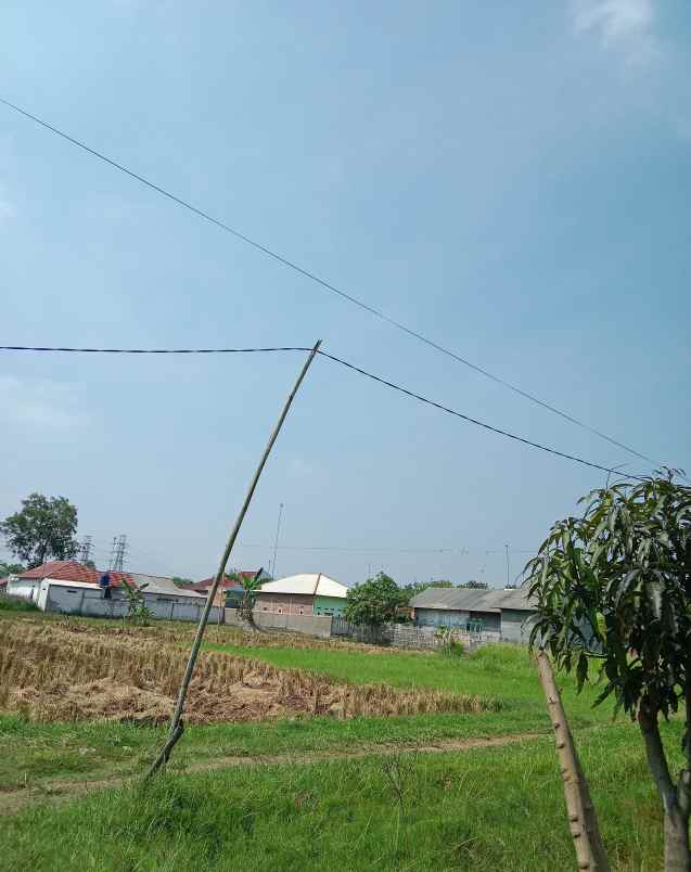 dijual tanah rawateratai margamulya