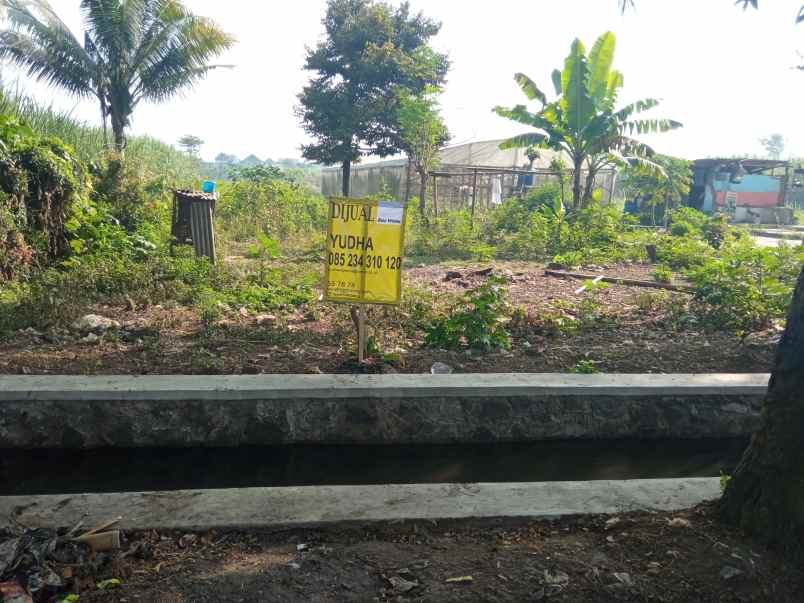 dijual tanah raya arjowinangun no