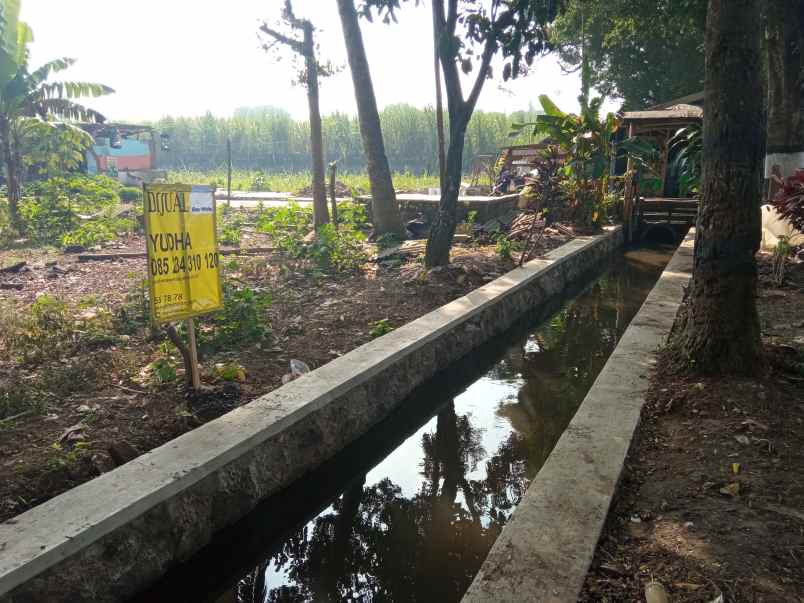 dijual tanah raya arjowinangun no