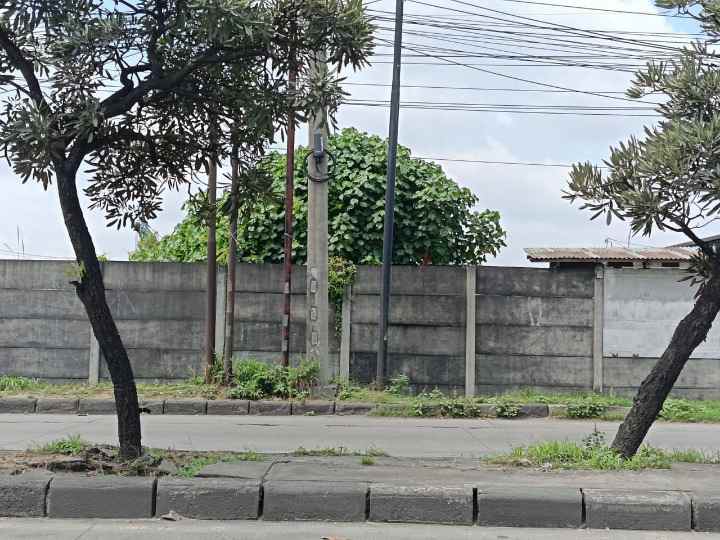 dijual tanah raya osowilangun