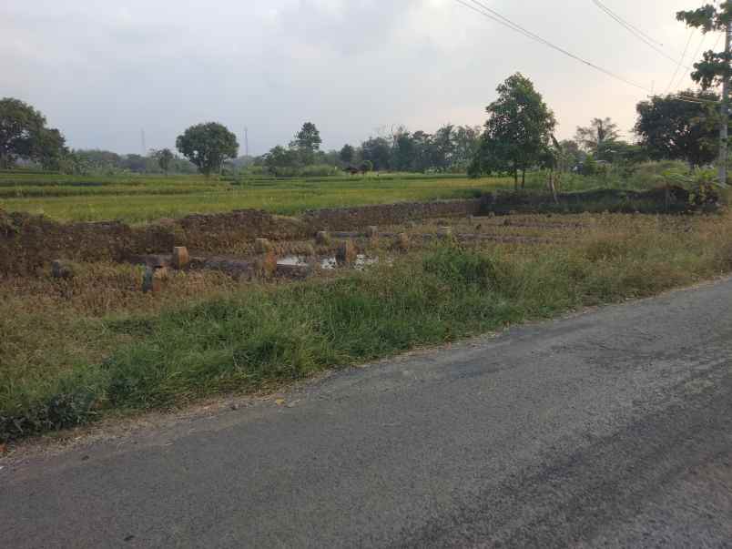 dijual tanah sarewu pancalang dkt beber