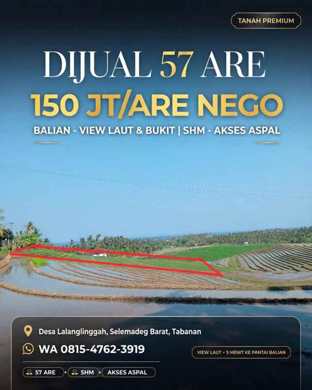 dijual tanah sawah view laut dan bukit balian