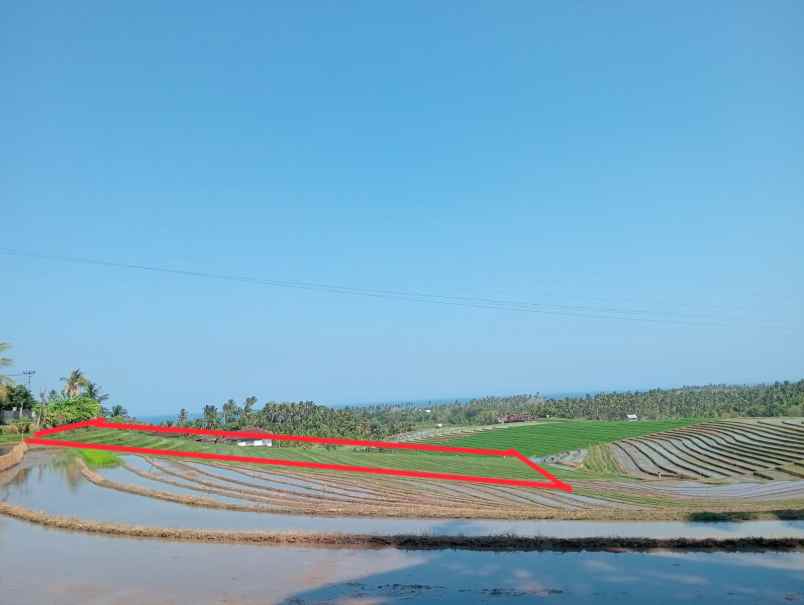 dijual tanah sawah view laut dan bukit balian