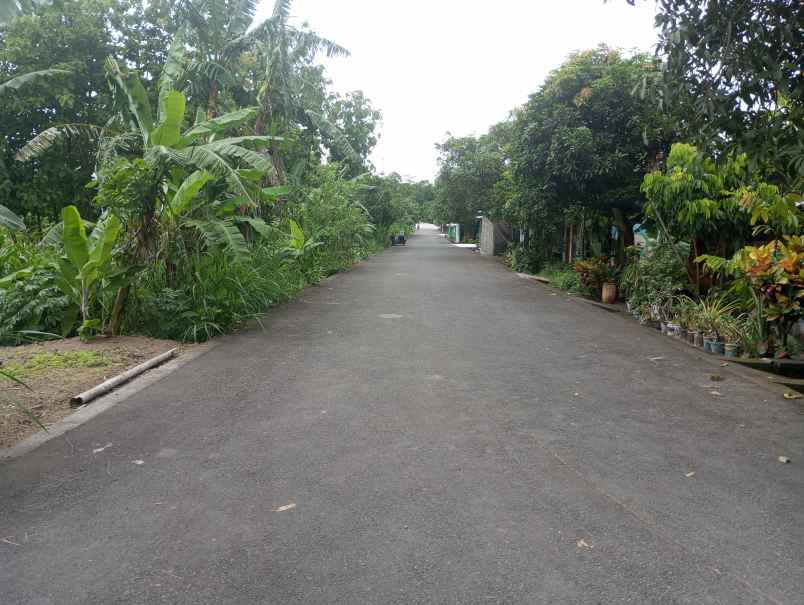 dijual tanah sengir sumberharjo kec