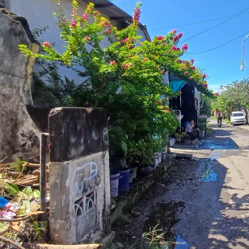 dijual tanah sesetan