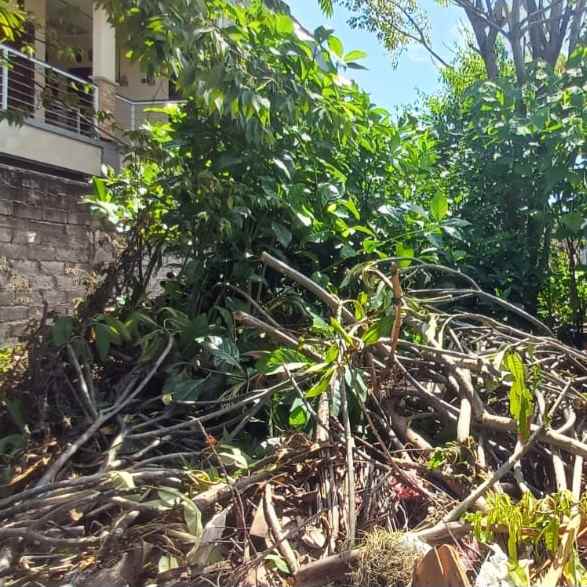 dijual tanah sesetan