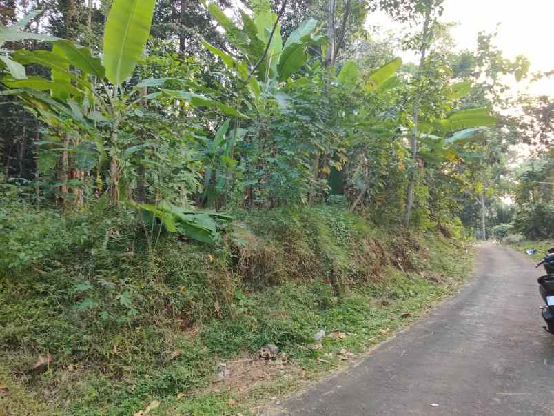 dijual tanah sindangkempeng