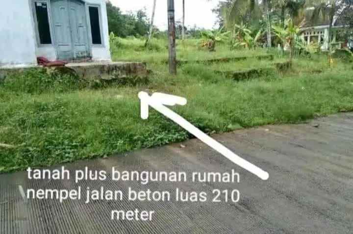 dijual tanah sindangsari kec pabuaran