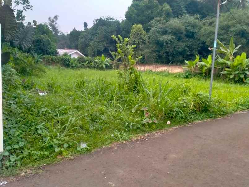 dijual tanah situ gede