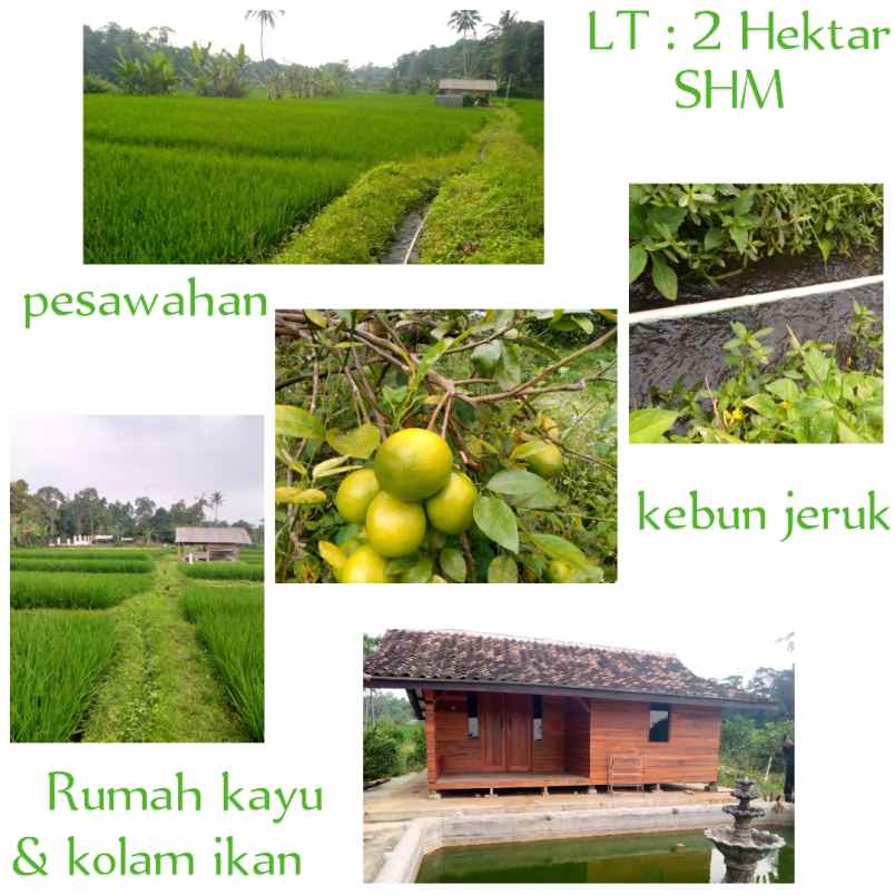 dijual tanah subang