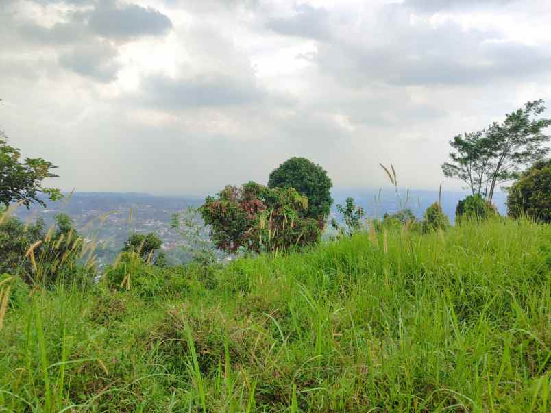 dijual tanah tajur halang cijeruk bogor