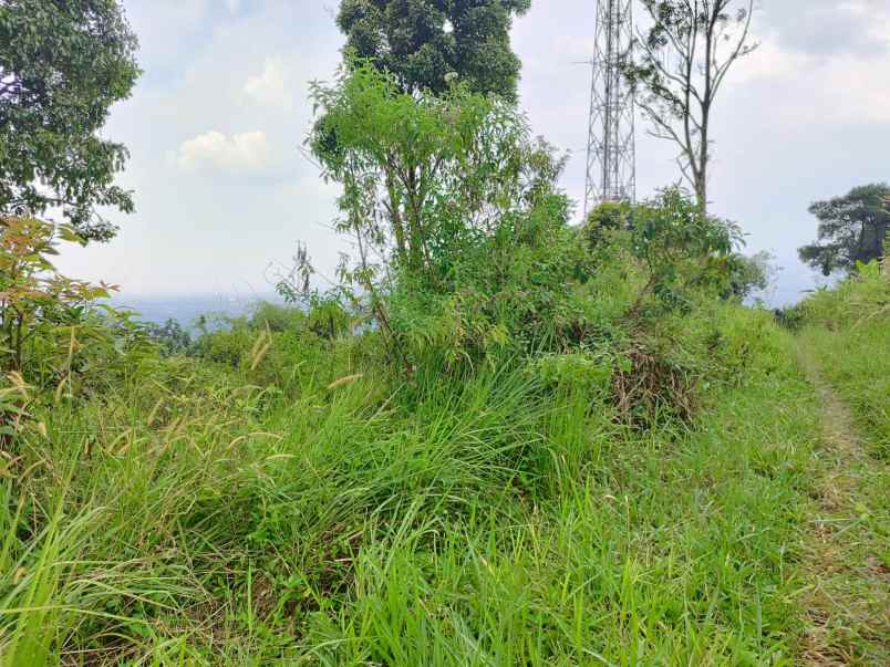 dijual tanah tajur halang cijeruk bogor