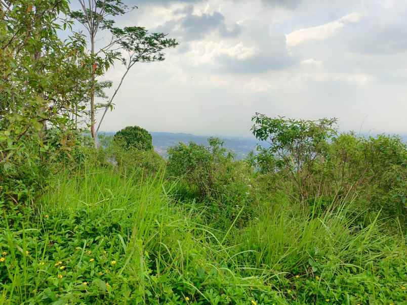 dijual tanah tajur halang cijeruk bogor