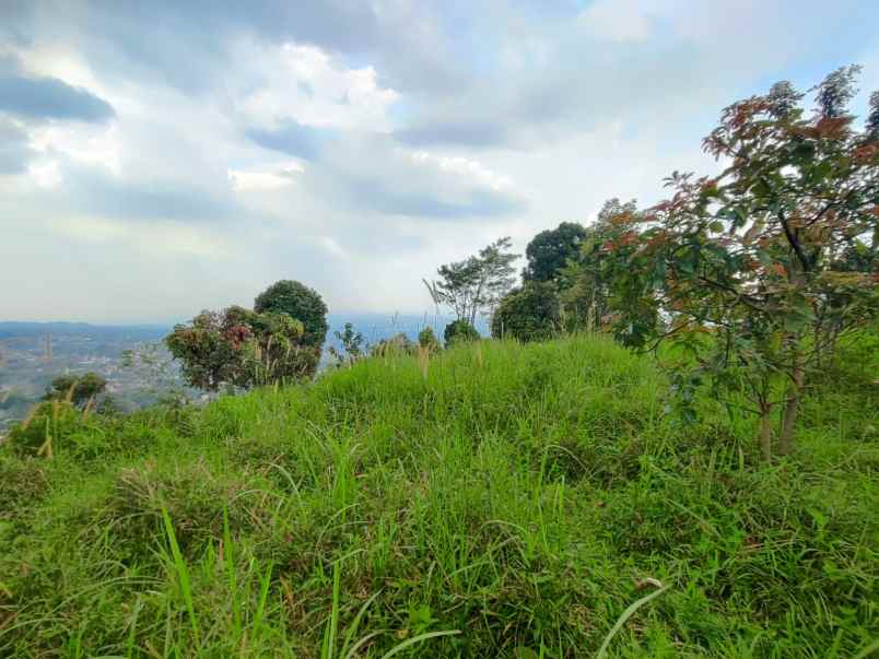 dijual tanah tajur halang cijeruk bogor