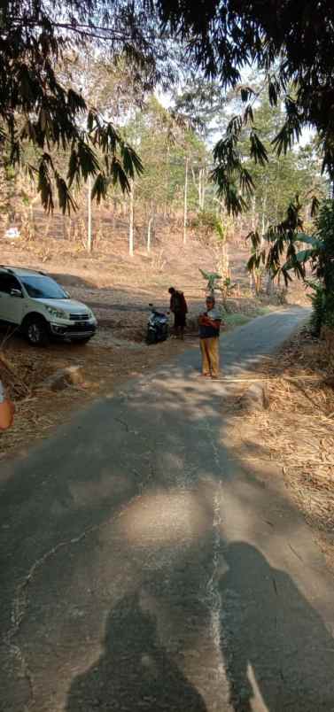 dijual tanah tajur halang ciwangi