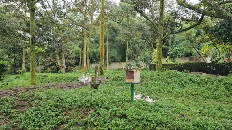 dijual tanah tamansari bogor