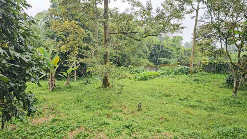 dijual tanah tamansari bogor